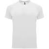Basics,Colecție de sport,Roly Control Dry,Tricouri simple și tricouri polo tehnice,Tricouri sportive,WORKWEAR Bărbat BAHRAIN