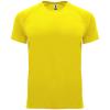 Basics,Colecție de sport,Roly Control Dry,Tricouri simple și tricouri polo tehnice,Tricouri sportive,WORKWEAR Bărbat BAHRAIN
