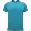 Basics,Colecție de sport,Roly Control Dry,Tricouri simple și tricouri polo tehnice,Tricouri sportive,WORKWEAR Bărbat BAHRAIN