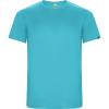 Basics,Colecție de sport,ECO,Roly Control Dry,Tricouri simple și tricouri polo tehnice,Tricouri sportive,WORKWEAR Bărbat IMOLA