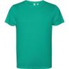 Basics,Colecție de sport,ECO,Roly Control Dry,Tricouri simple și tricouri polo tehnice,Tricouri sportive,WORKWEAR Bărbat ESTORIL