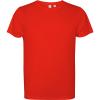 Basics,Colecție de sport,ECO,Roly Control Dry,Tricouri simple și tricouri polo tehnice,Tricouri sportive,WORKWEAR Bărbat ESTORIL