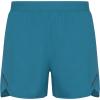 Colecție de sport,ECO,NOUTĂȚI,Pantaloni scurți,Pantaloni sport Bărbat THEMA