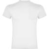 Basics,Tricouri,Tricouri cu mânecă scurtă,Tricouri și tricouri polo,WORKWEAR Bărbat TECKEL