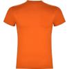 Basics,Tricouri,Tricouri cu mânecă scurtă,Tricouri și tricouri polo,WORKWEAR Bărbat TECKEL