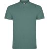 Basics,Tricouri polo,Tricouri polo cu mânecă scurtă,Tricouri și tricouri polo,WORKWEAR Bărbat STAR