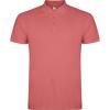 Basics,Tricouri polo,Tricouri polo cu mânecă scurtă,Tricouri și tricouri polo,WORKWEAR Bărbat STAR