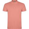 Basics,Tricouri polo,Tricouri polo cu mânecă scurtă,Tricouri și tricouri polo,WORKWEAR Bărbat STAR