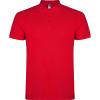 Basics,Tricouri polo,Tricouri polo cu mânecă scurtă,Tricouri și tricouri polo,WORKWEAR Bărbat STAR