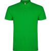 Basics,Tricouri polo,Tricouri polo cu mânecă scurtă,Tricouri și tricouri polo,WORKWEAR Bărbat STAR