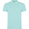 Basics,Tricouri polo,Tricouri polo cu mânecă scurtă,Tricouri și tricouri polo,WORKWEAR Bărbat STAR