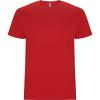 Basics,Tricouri,Tricouri cu mânecă scurtă,Tricouri și tricouri polo,WORKWEAR Bărbat STAFFORD