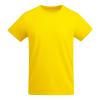 ECO,Tricouri,Tricouri cu mânecă scurtă,Tricouri și tricouri polo Bărbat BREDA