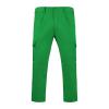 Industria serviciilor,Pantaloni lungi - Industrie,WORKWEAR Bărbat DAILY
