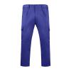 Industria serviciilor,Pantaloni lungi - Industrie,WORKWEAR Bărbat DAILY