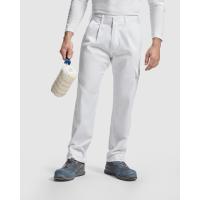 Industria serviciilor,Pantaloni lungi -  Industrie,WORKWEAR Bărbat PINTOR