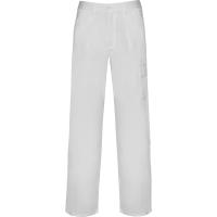 Industria serviciilor,Pantaloni lungi -  Industrie,WORKWEAR Bărbat PINTOR